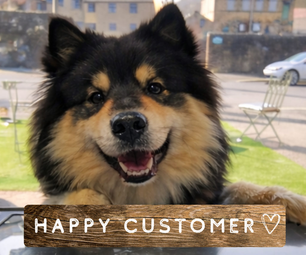 Happy dog at our dog friendly cafe in Todmorden