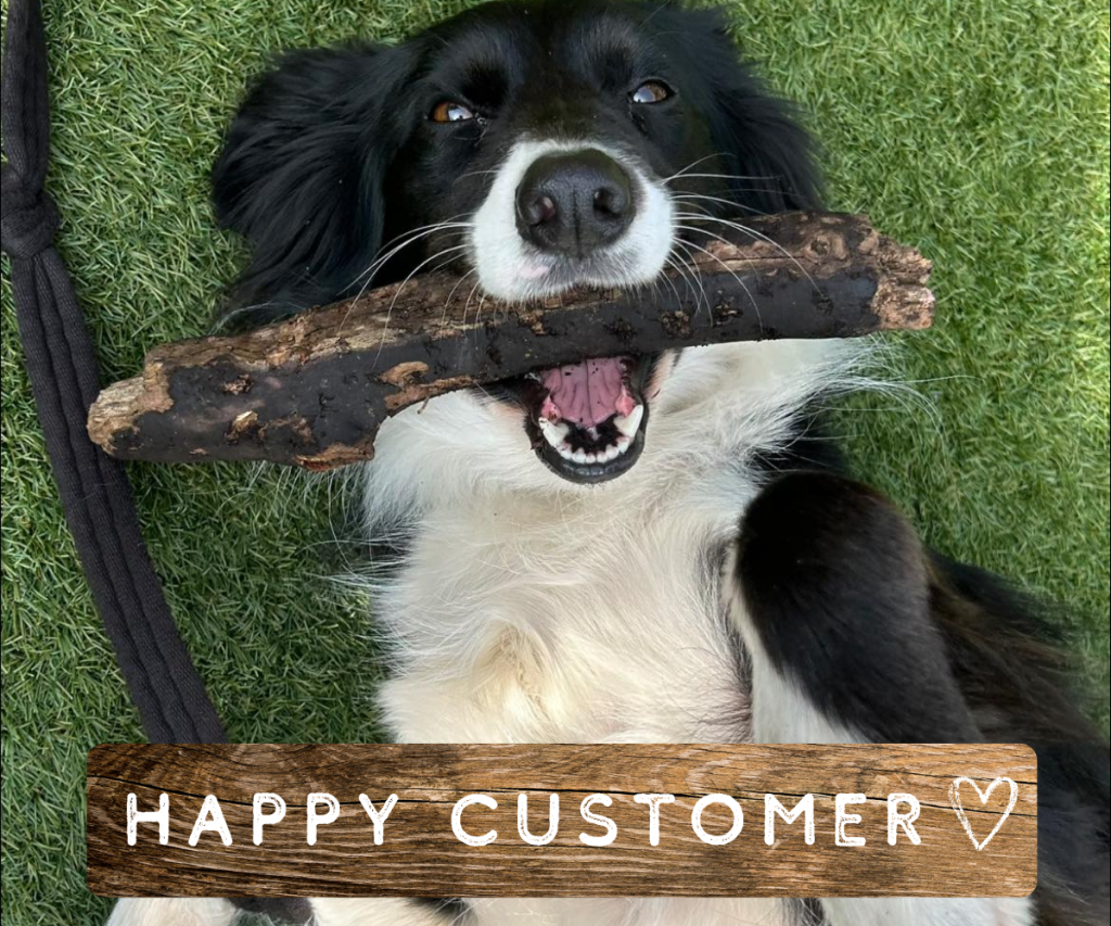 Having fun in our outdoor area at our dog friendly cafe in Todmorden