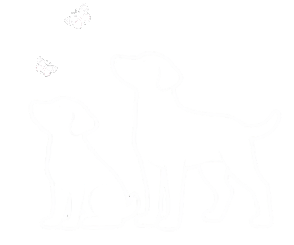 Canine Country Kitchen