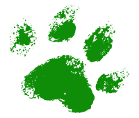 Doggy Stay and Play in Todmorden