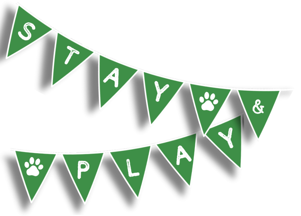 Dogg Stay and Play in Todmorden