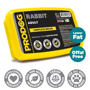 rabbit