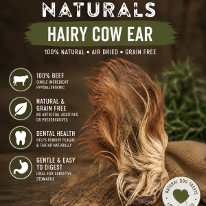 hairy-cow-ears-x-2
