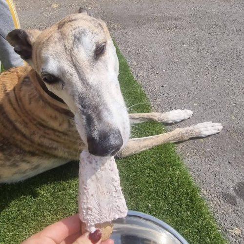Dog Friendly Cafe based in Todmorden