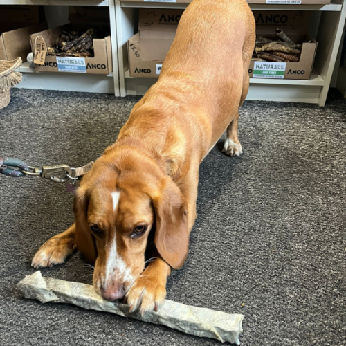 Natural Dog Treats available