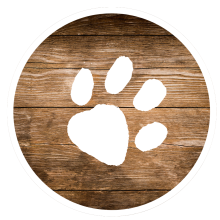 Local, dog-focused business built from a genuine love of animals. Canine Country Kitchen